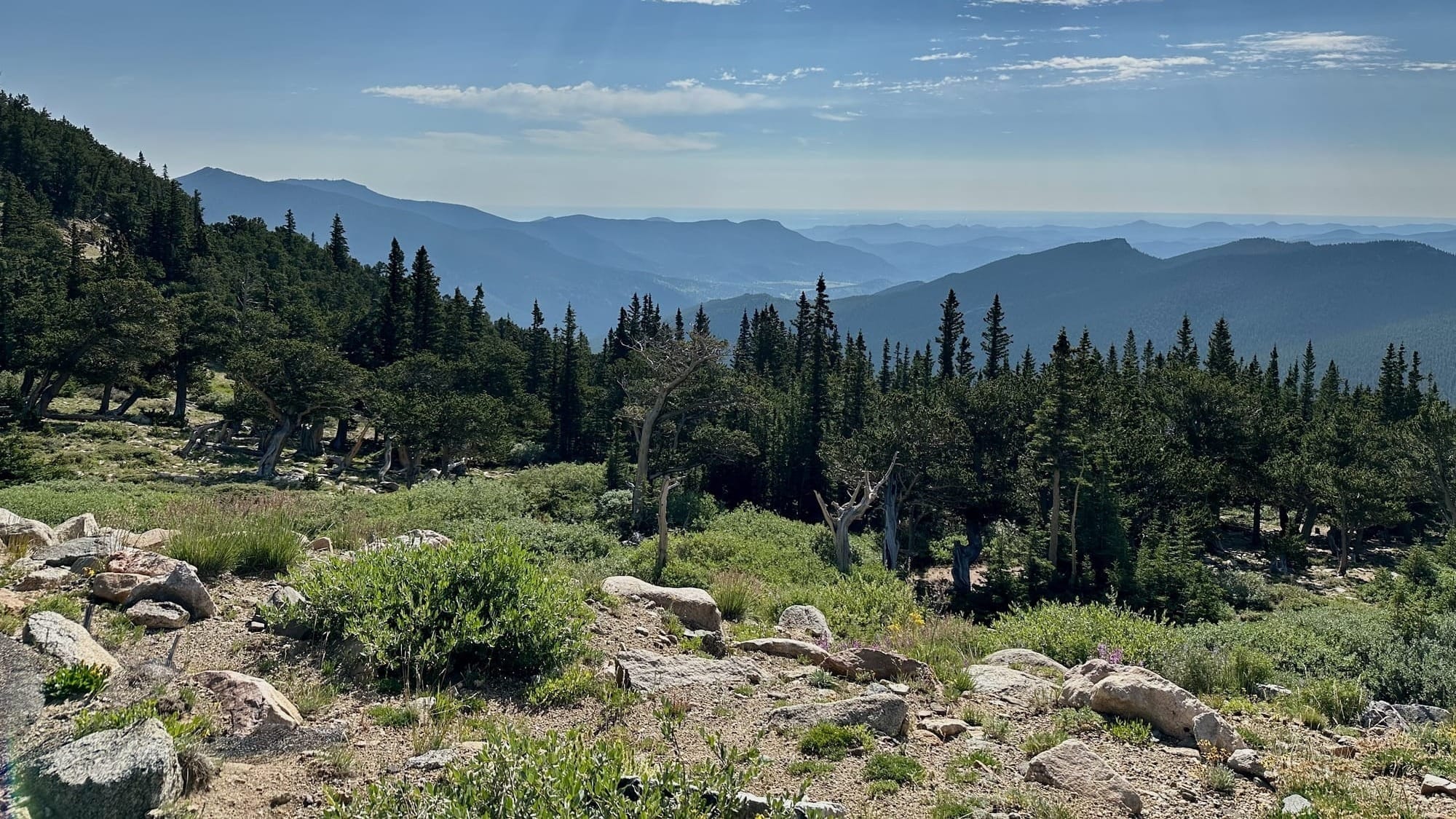 View from Mount Goliath Natural Area